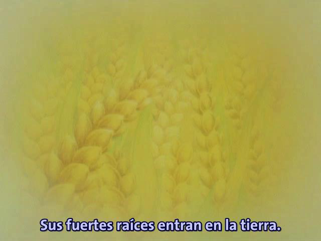 Hiroshima 2 (AnimesaiGen, Anime Seiden)